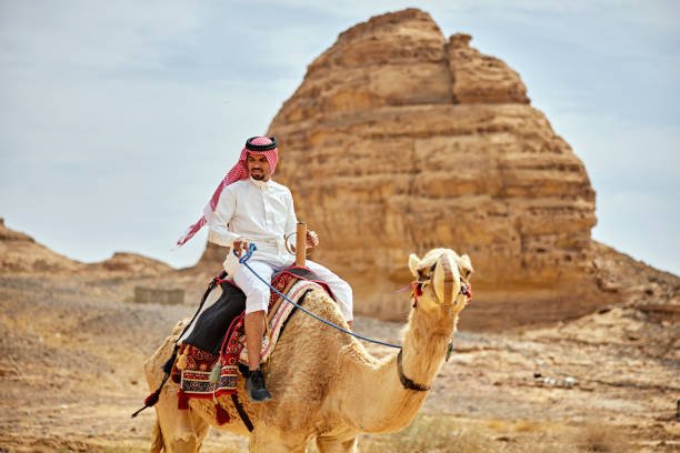 saudi arabia tourism packages