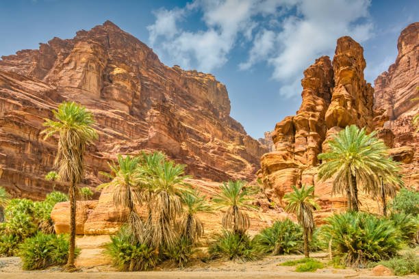 Wadi Al Disah oasis in Saudi Arabia on a sunny day
