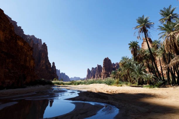 wadi al disah oasis